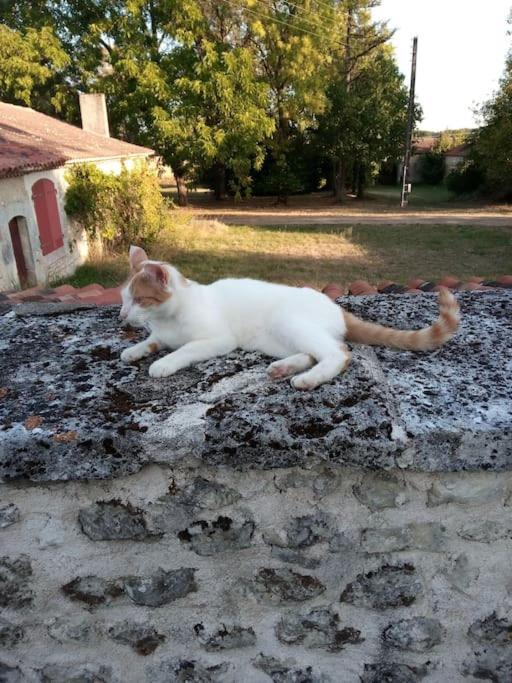As Seen On A New Life In The Sun - Beautiful 3 Bedroom Cottage With Shared Pool Montboyer Ngoại thất bức ảnh